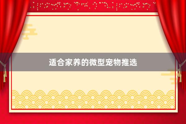 适合家养的微型宠物推选